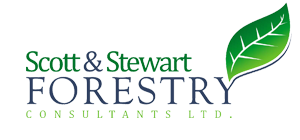 Scott & Stewart Forestry
